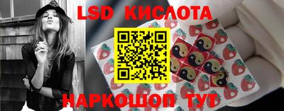 спиды Кимры