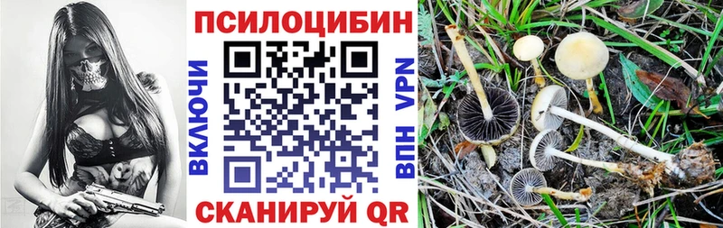 где продают   Нягань  Псилоцибиновые грибы ЛСД 