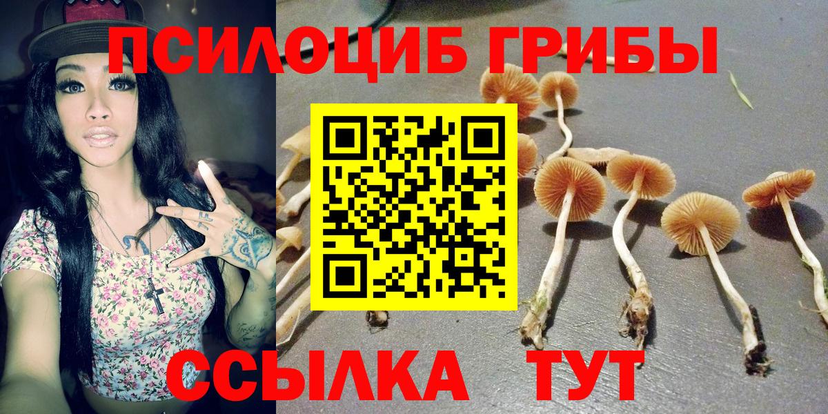 Галлюциногенные грибы Psilocybine cubensis Нягань